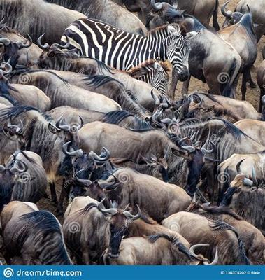 菏澤地區(qū)網絡游戲修改及網絡技術開發(fā)必讀指南